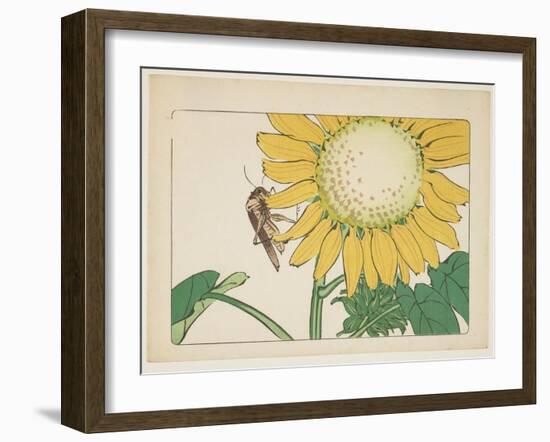 Grasshopper and Sunflower, C. 1877-Shibata Zeshin-Framed Giclee Print