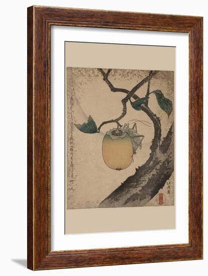 Grasshopper Eating Persimmon.-Katsushika Hokusai-Framed Art Print