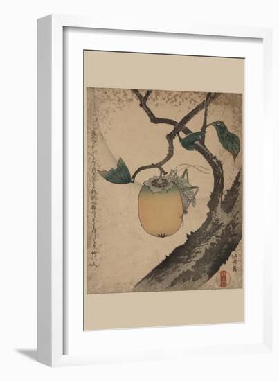 Grasshopper Eating Persimmon.-Katsushika Hokusai-Framed Art Print