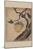 Grasshopper Eating Persimmon.-Katsushika Hokusai-Mounted Art Print