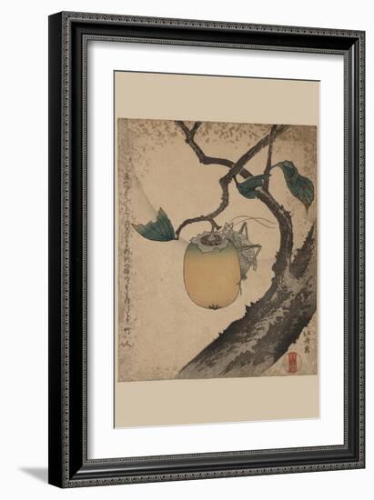 Grasshopper Eating Persimmon.-Katsushika Hokusai-Framed Art Print