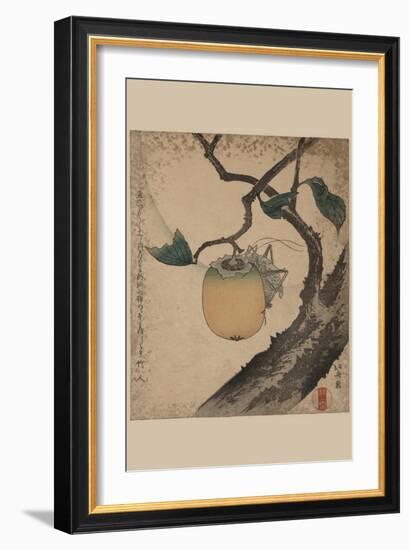 Grasshopper Eating Persimmon.-Katsushika Hokusai-Framed Art Print