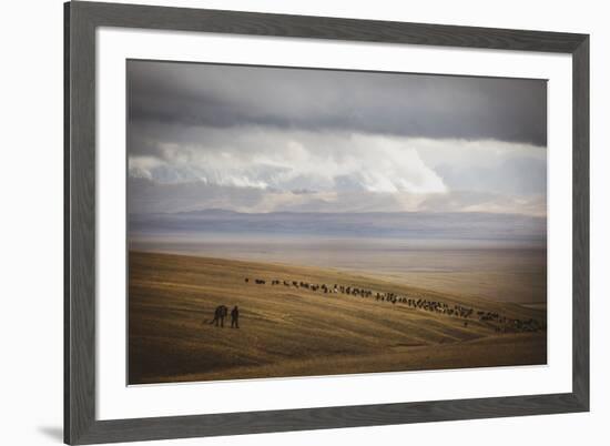 Grassland Grazing-Andrew Geiger-Framed Giclee Print