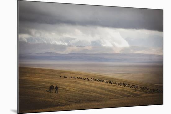 Grassland Grazing-Andrew Geiger-Mounted Giclee Print