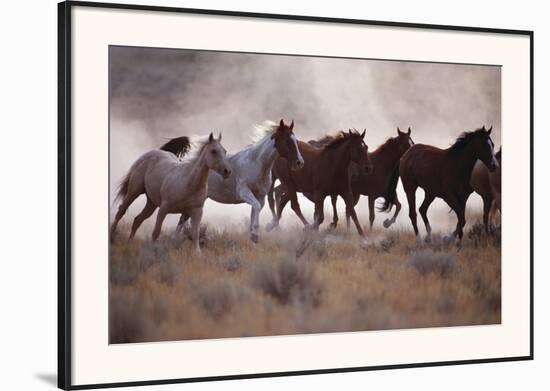 Grassland Herd-David R^ Stoecklein-Framed Art Print