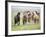 Grassland Horses II-PHBurchett-Framed Photographic Print