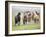 Grassland Horses II-PHBurchett-Framed Photographic Print