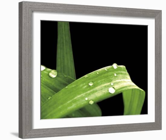 Grassy Dew-Douglas Yan-Framed Giclee Print