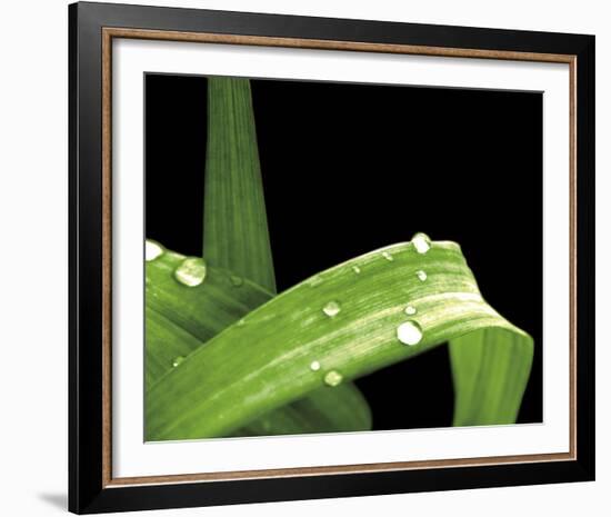 Grassy Dew-Douglas Yan-Framed Giclee Print