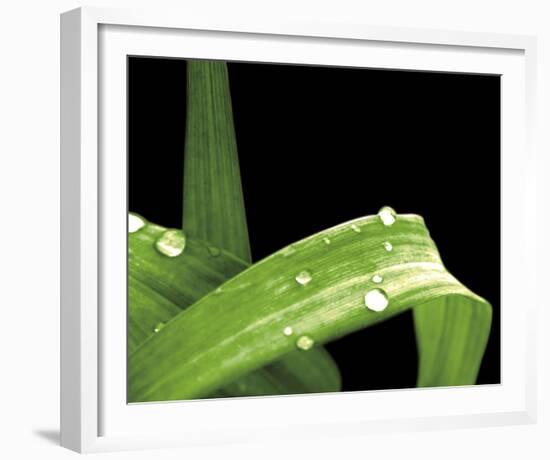 Grassy Dew-Douglas Yan-Framed Giclee Print