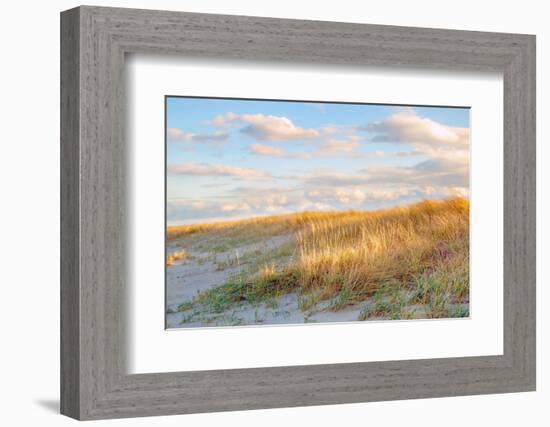 Grassy Dunes Panorama-Brooke T. Ryan-Framed Photographic Print