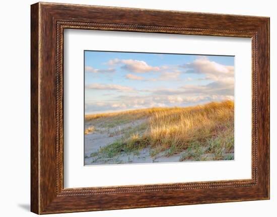 Grassy Dunes Panorama-Brooke T. Ryan-Framed Photographic Print