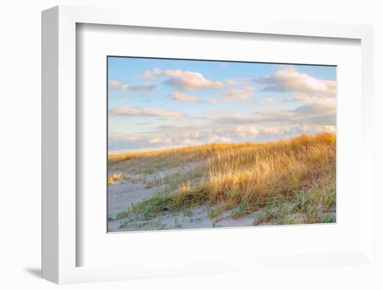 Grassy Dunes Panorama-Brooke T. Ryan-Framed Photographic Print