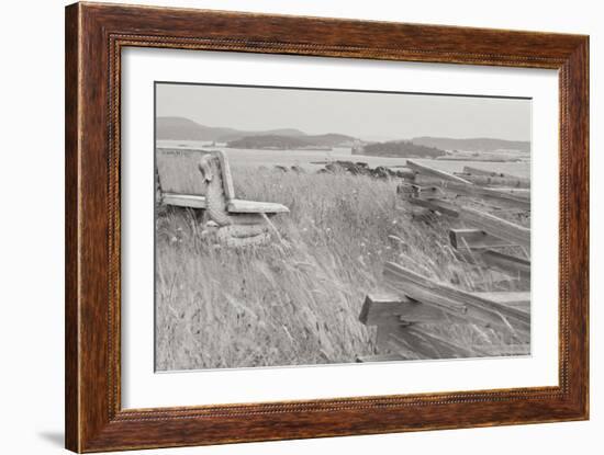 Grassy Knoll BW-Dana Styber-Framed Photographic Print