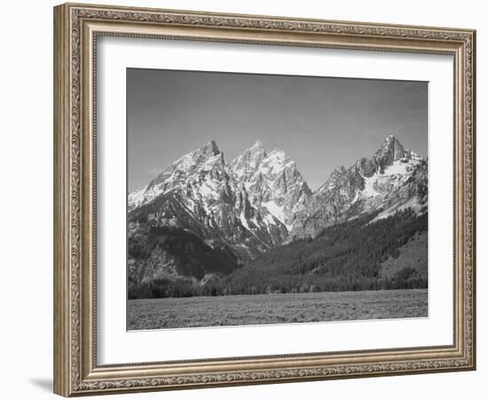 Grassy Valley Tree Covered Mt Side And Snow Covered Peaks Grand "Teton NP" Wyoming 1933-1942-Ansel Adams-Framed Premium Giclee Print