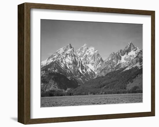 Grassy Valley Tree Covered Mt Side And Snow Covered Peaks Grand "Teton NP" Wyoming 1933-1942-Ansel Adams-Framed Premium Giclee Print