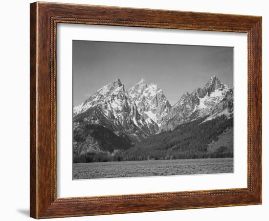 Grassy Valley Tree Covered Mt Side And Snow Covered Peaks Grand "Teton NP" Wyoming 1933-1942-Ansel Adams-Framed Premium Giclee Print