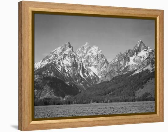 Grassy Valley Tree Covered Mt Side And Snow Covered Peaks Grand "Teton NP" Wyoming 1933-1942-Ansel Adams-Framed Stretched Canvas