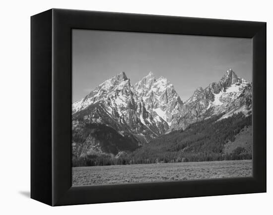 Grassy Valley Tree Covered Mt Side And Snow Covered Peaks Grand "Teton NP" Wyoming 1933-1942-Ansel Adams-Framed Stretched Canvas