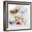 Grated Spices-David Munns-Framed Premium Photographic Print