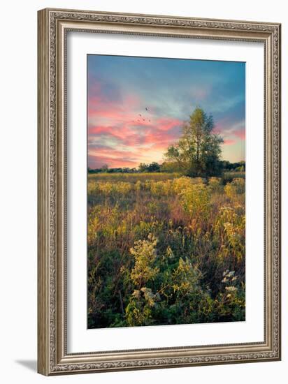 Grateful for the Day-John Rivera-Framed Photographic Print