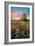 Grateful for the Day-John Rivera-Framed Photographic Print