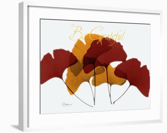 Grateful Gingko Fall-Albert Koetsier-Framed Photo