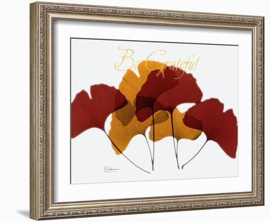 Grateful Gingko Fall-Albert Koetsier-Framed Photographic Print