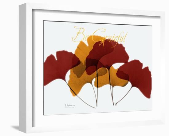 Grateful Gingko Fall-Albert Koetsier-Framed Photographic Print