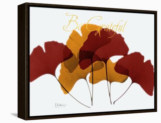 Grateful Gingko Fall-Albert Koetsier-Framed Stretched Canvas