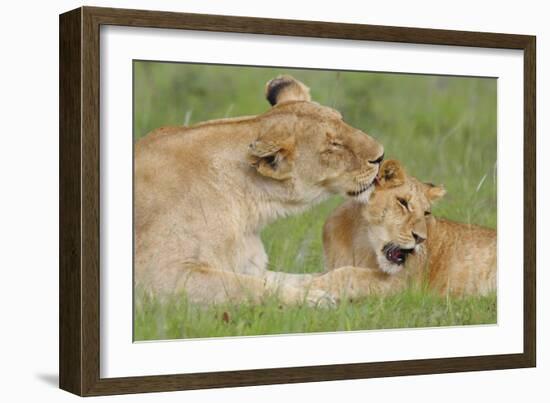 Gratitude-Susann Parker-Framed Photographic Print