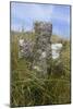 Grave Cross in Sea Dunes at Church of St. Tanwg-null-Mounted Photographic Print