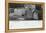 Grave of the Poet William Wordsworth, Grasmere, Westmorland, 20th Century-null-Framed Premier Image Canvas