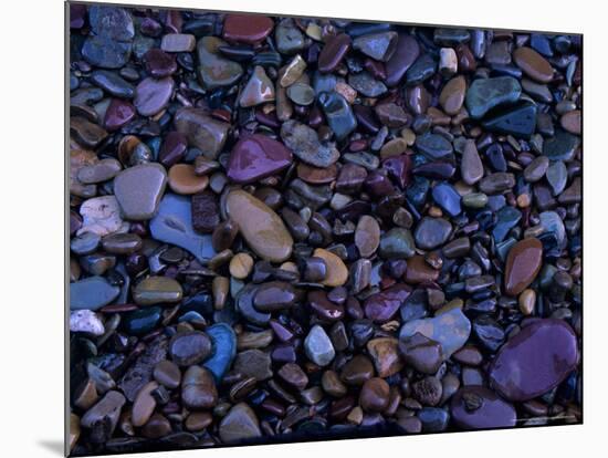 Gravel in Mountain Creek, Montana, USA-Jerry Ginsberg-Mounted Photographic Print