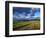 Gravel Road in the National Bison Range, Mission Mountains, Montana, USA-Chuck Haney-Framed Photographic Print