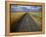 Gravel Road Passing Through Wheat Field-Darrell Gulin-Framed Premier Image Canvas