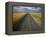 Gravel Road Passing Through Wheat Field-Darrell Gulin-Framed Premier Image Canvas