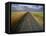 Gravel Road Passing Through Wheat Field-Darrell Gulin-Framed Premier Image Canvas