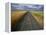 Gravel Road Passing Through Wheat Field-Darrell Gulin-Framed Premier Image Canvas