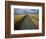 Gravel Road Passing Through Wheat Field-Darrell Gulin-Framed Photographic Print