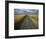 Gravel Road Passing Through Wheat Field-Darrell Gulin-Framed Photographic Print