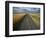 Gravel Road Passing Through Wheat Field-Darrell Gulin-Framed Photographic Print