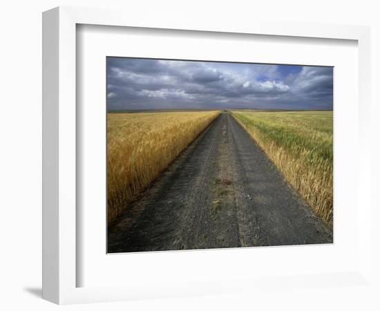 Gravel Road Passing Through Wheat Field-Darrell Gulin-Framed Photographic Print