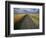 Gravel Road Passing Through Wheat Field-Darrell Gulin-Framed Photographic Print