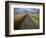 Gravel Road Passing Through Wheat Field-Darrell Gulin-Framed Photographic Print