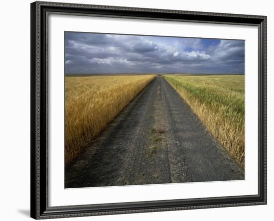 Gravel Road Passing Through Wheat Field-Darrell Gulin-Framed Photographic Print