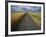 Gravel Road Passing Through Wheat Field-Darrell Gulin-Framed Photographic Print