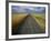 Gravel Road Passing Through Wheat Field-Darrell Gulin-Framed Photographic Print