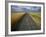 Gravel Road Passing Through Wheat Field-Darrell Gulin-Framed Photographic Print