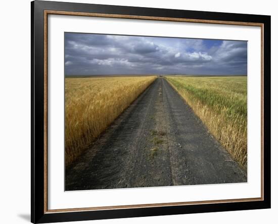 Gravel Road Passing Through Wheat Field-Darrell Gulin-Framed Photographic Print